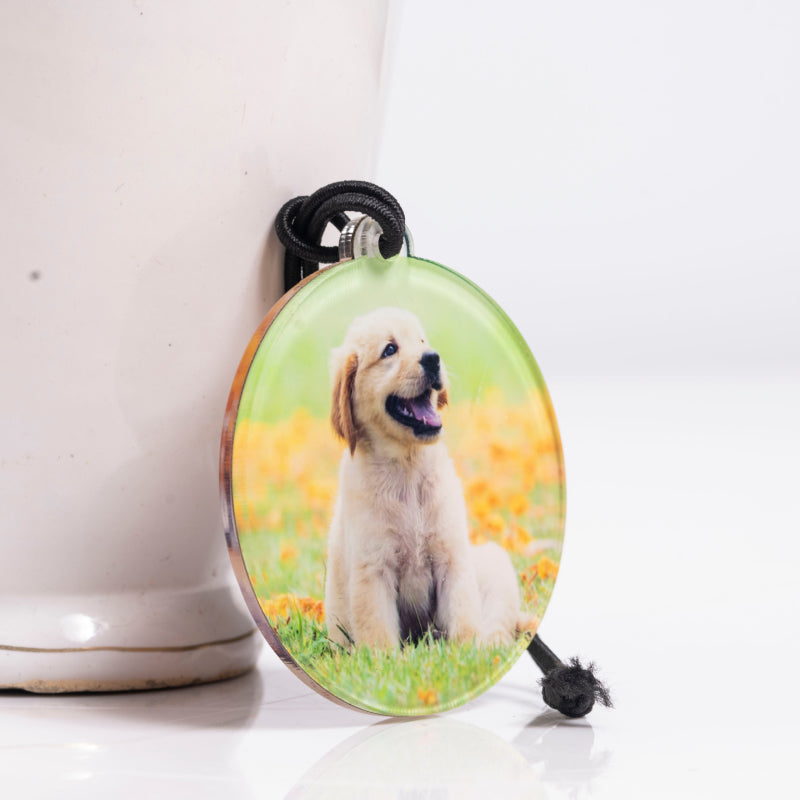 Acrylic Car photo hanger
